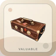 District Officer's Portable Safe item image for SAND loot decisions